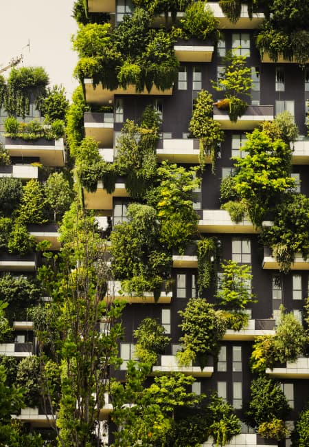 The Growing Relevance of Green Homes: A Timely Necessity in Today's World